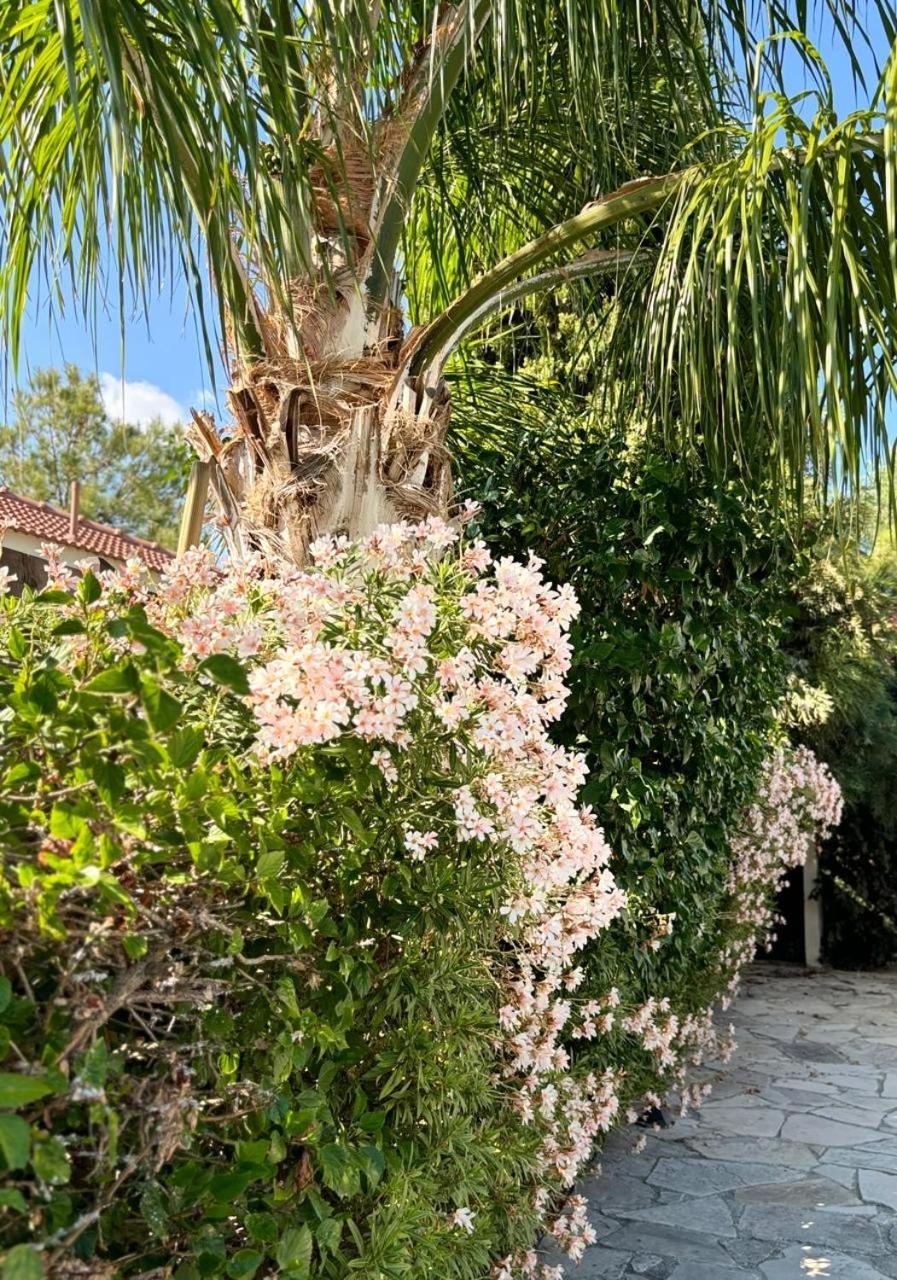 Le Caroubier Splendid 3 Bedrooms Bungalow Zanaja 外观 照片